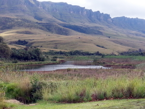 Kamberg Nature Reserve Drakensberg