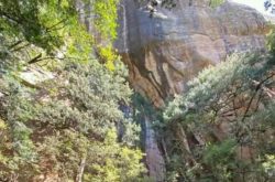Siyaphambili Tours and Travel